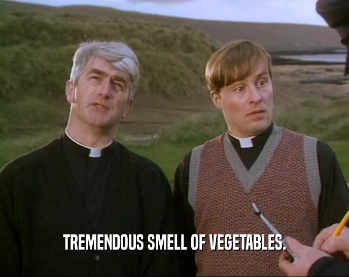 TREMENDOUS SMELL OF VEGETABLES.  