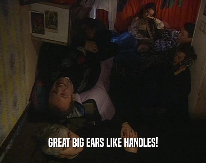 GREAT BIG EARS LIKE HANDLES!  