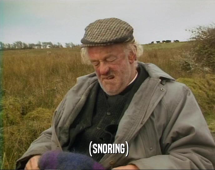 (SNORING)  