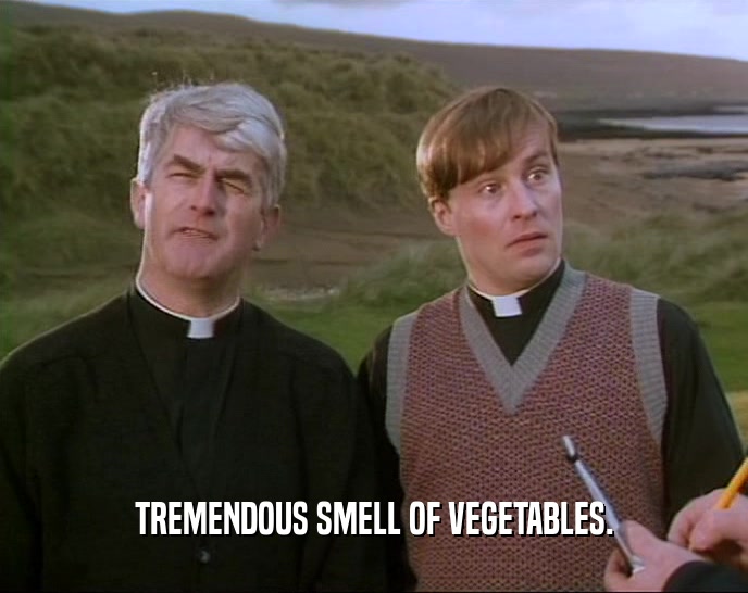 TREMENDOUS SMELL OF VEGETABLES.  