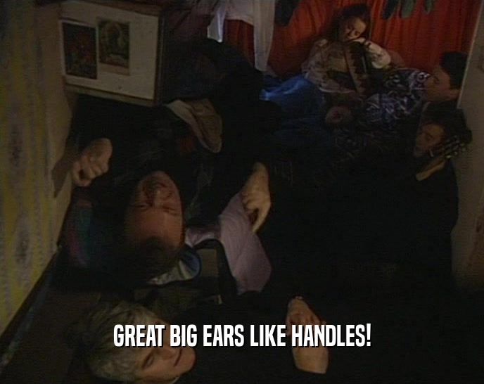 GREAT BIG EARS LIKE HANDLES!
  