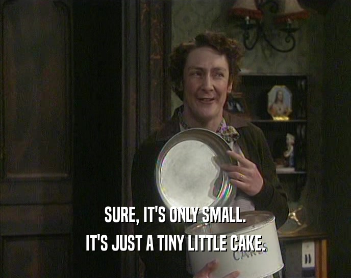 SURE, IT'S ONLY SMALL. IT'S JUST A TINY LITTLE CAKE. 