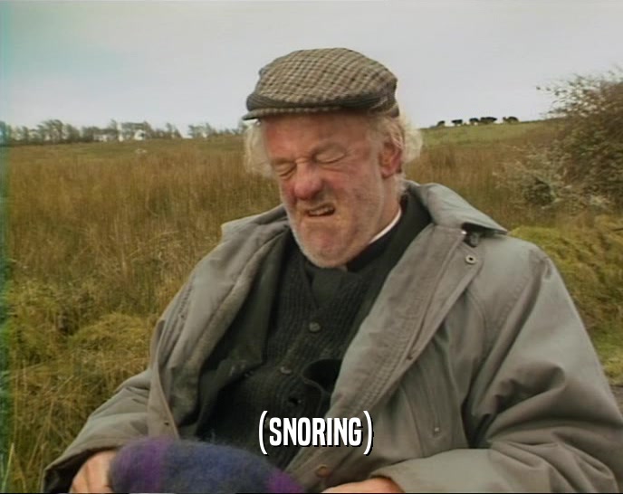 (SNORING)  