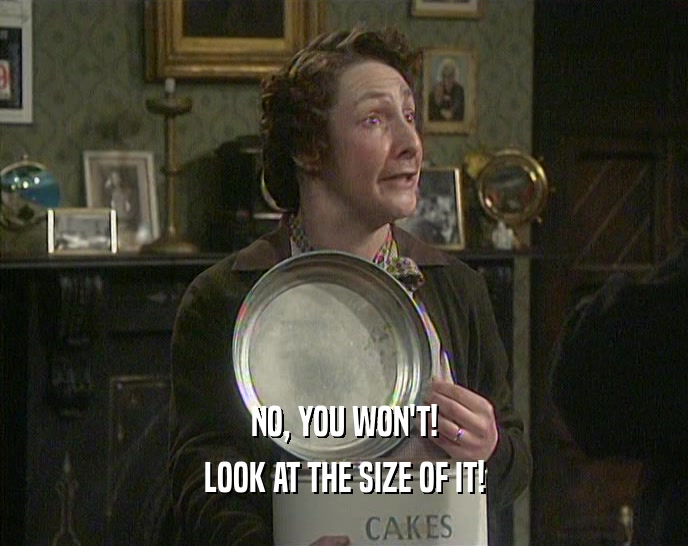 NO, YOU WON'T! LOOK AT THE SIZE OF IT! 