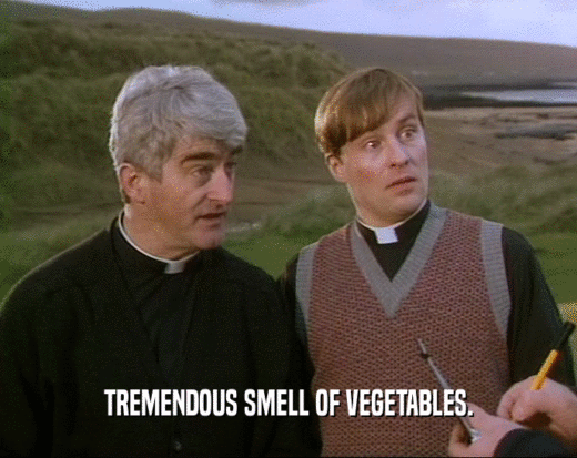 TREMENDOUS SMELL OF VEGETABLES.
  