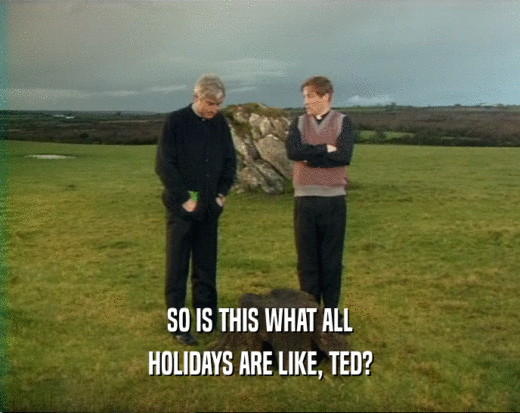 SO IS THIS WHAT ALL HOLIDAYS ARE LIKE, TED? 