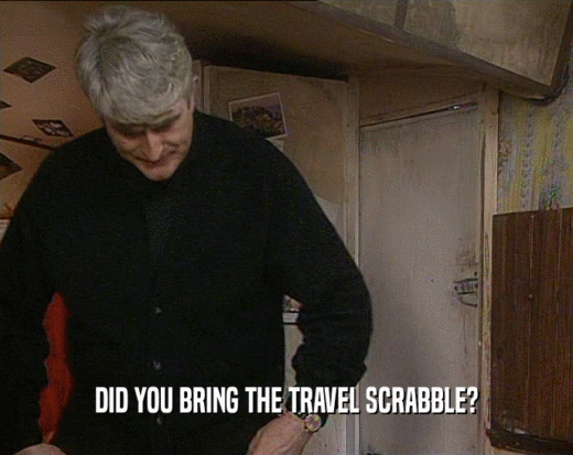 DID YOU BRING THE TRAVEL SCRABBLE?
  