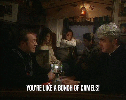 YOU'RE LIKE A BUNCH OF CAMELS!
  