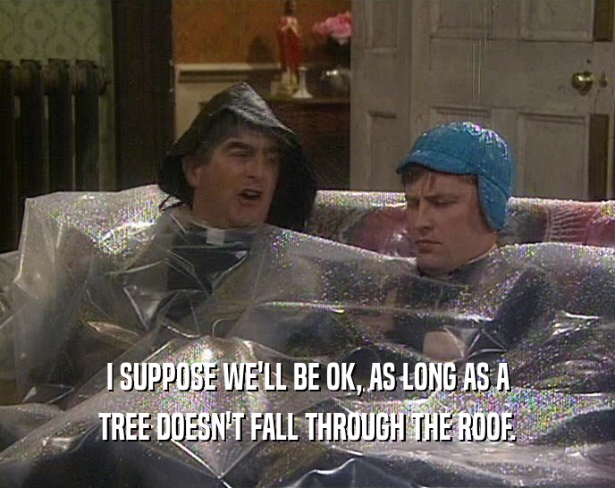 I SUPPOSE WE'LL BE OK, AS LONG AS A
 TREE DOESN'T FALL THROUGH THE ROOF.
 