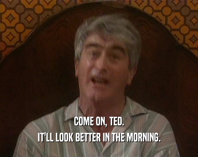 COME ON, TED. IT'LL LOOK BETTER IN THE MORNING. 
