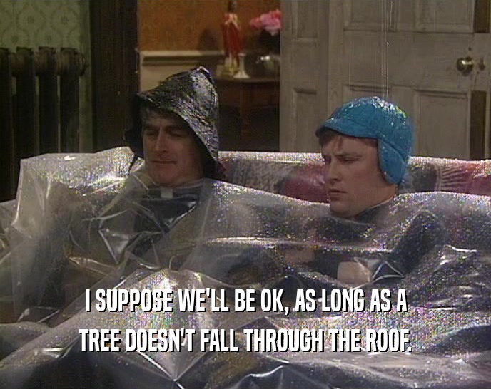I SUPPOSE WE'LL BE OK, AS LONG AS A
 TREE DOESN'T FALL THROUGH THE ROOF.
 