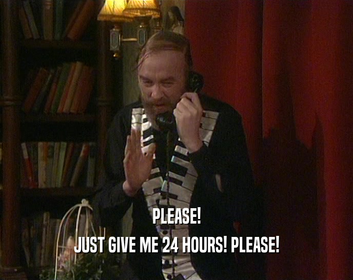 PLEASE! JUST GIVE ME 24 HOURS! PLEASE! 