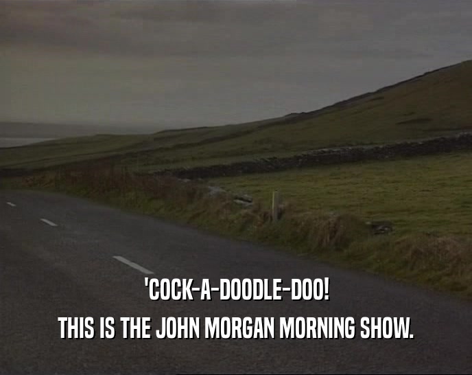 'COCK-A-DOODLE-DOO! THIS IS THE JOHN MORGAN MORNING SHOW. 