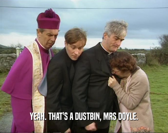 YEAH. THAT'S A DUSTBIN, MRS DOYLE.
  