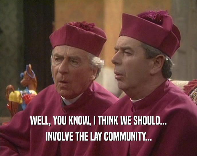 WELL, YOU KNOW, I THINK WE SHOULD...
 INVOLVE THE LAY COMMUNITY...
 