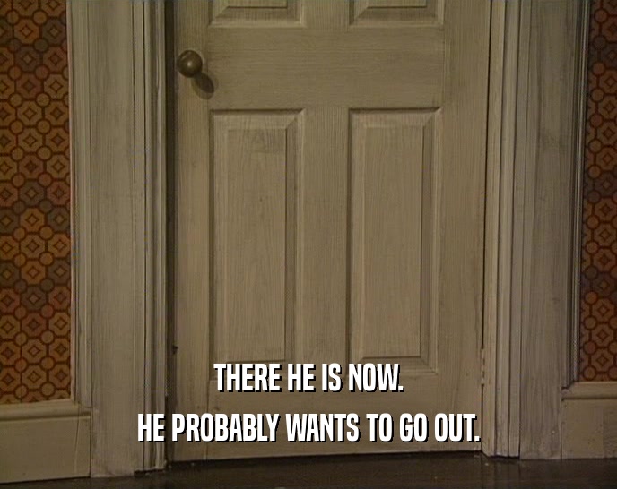 THERE HE IS NOW. HE PROBABLY WANTS TO GO OUT. 