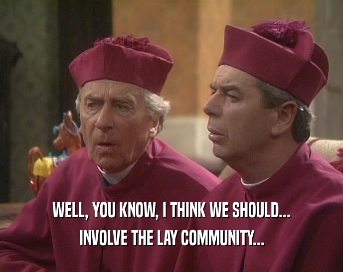 WELL, YOU KNOW, I THINK WE SHOULD... INVOLVE THE LAY COMMUNITY... 