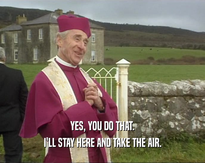 YES, YOU DO THAT. I'LL STAY HERE AND TAKE THE AIR. 