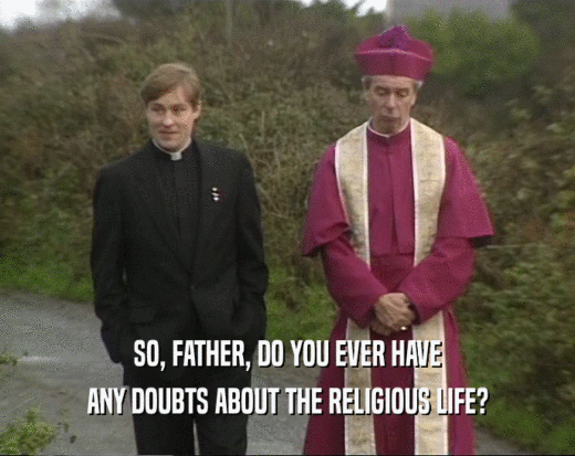 SO, FATHER, DO YOU EVER HAVE ANY DOUBTS ABOUT THE RELIGIOUS LIFE? 