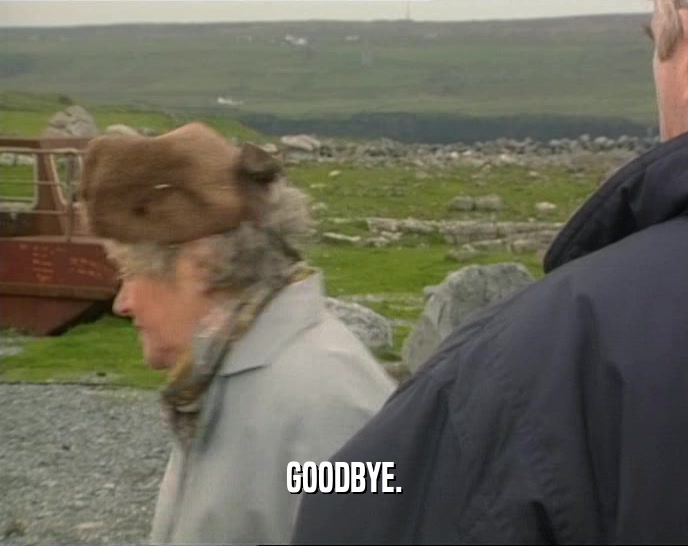 GOODBYE.  