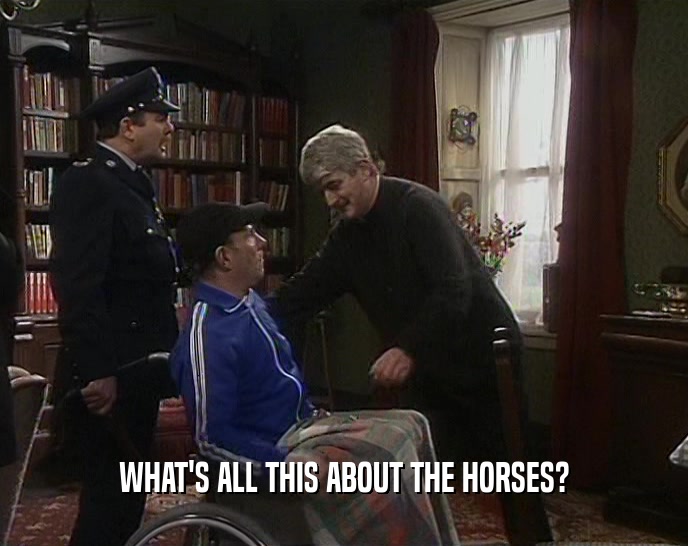 WHAT'S ALL THIS ABOUT THE HORSES?
  