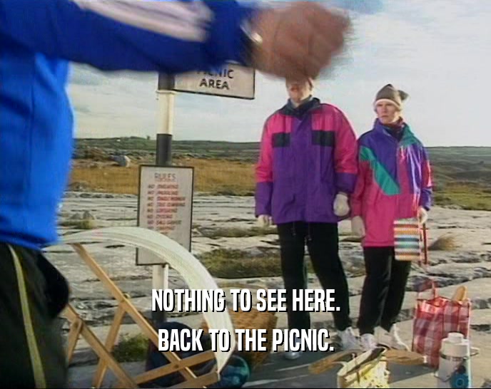 NOTHING TO SEE HERE. BACK TO THE PICNIC. 