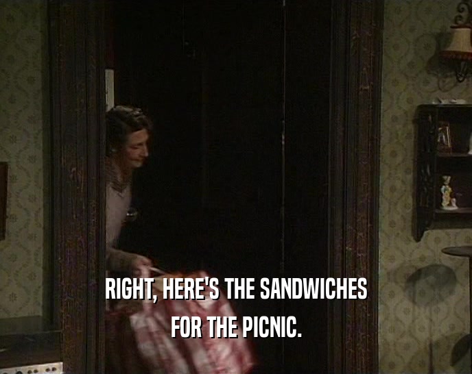 RIGHT, HERE'S THE SANDWICHES
 FOR THE PICNIC.
 