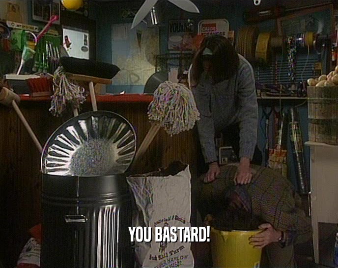 YOU BASTARD!  