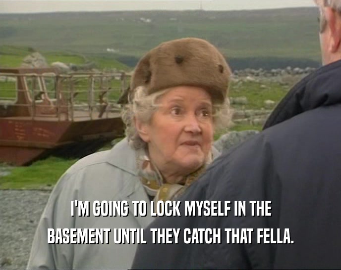 I'M GOING TO LOCK MYSELF IN THE BASEMENT UNTIL THEY CATCH THAT FELLA. 