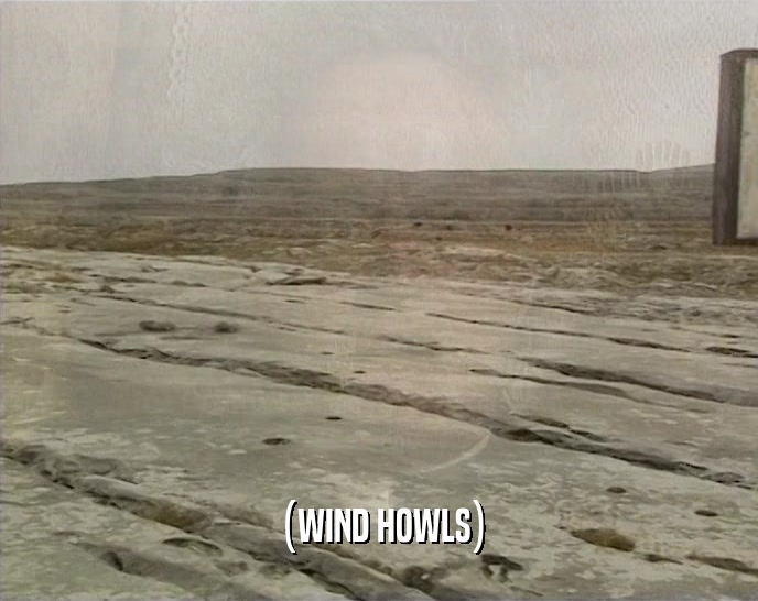(WIND HOWLS)  