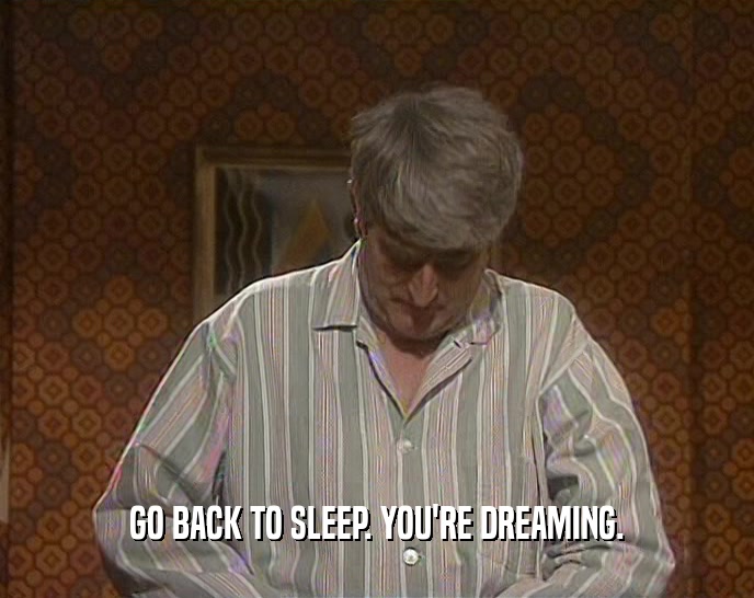 GO BACK TO SLEEP. YOU'RE DREAMING.
  