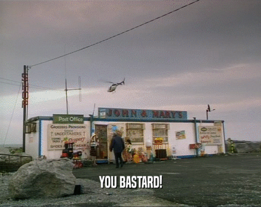 YOU BASTARD!  