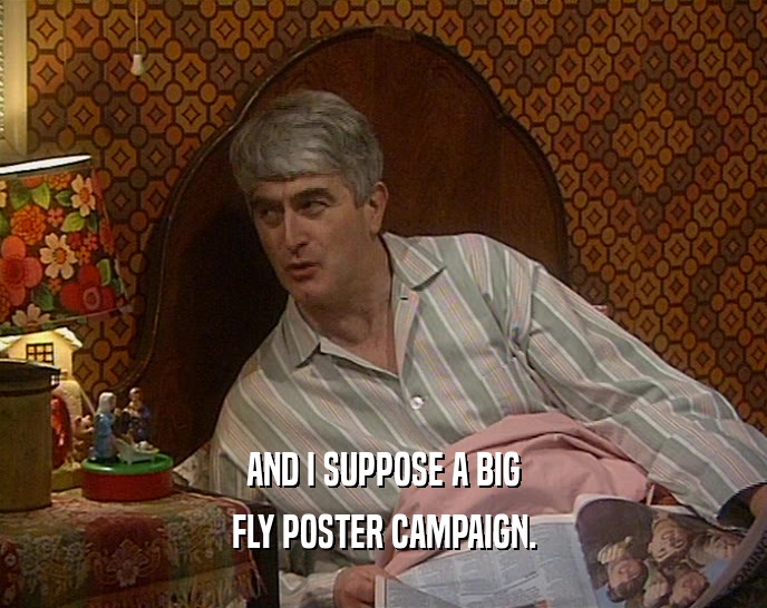 AND I SUPPOSE A BIG FLY POSTER CAMPAIGN. 