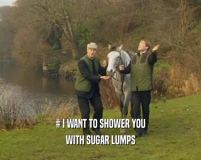 # I WANT TO SHOWER YOU WITH SUGAR LUMPS 