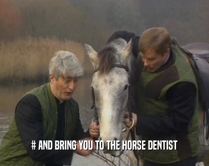 # AND BRING YOU TO THE HORSE DENTIST  