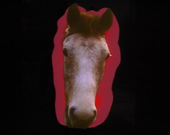 (SAXOPHONE SOLO)  