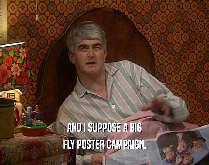 AND I SUPPOSE A BIG FLY POSTER CAMPAIGN. 