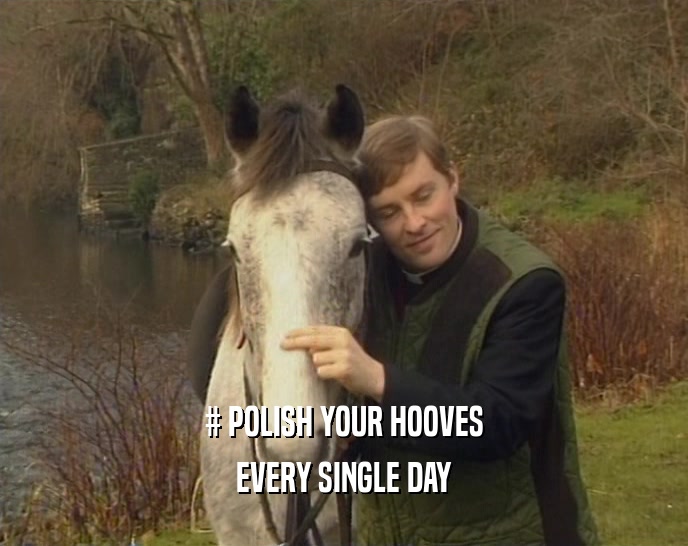 # POLISH YOUR HOOVES EVERY SINGLE DAY 