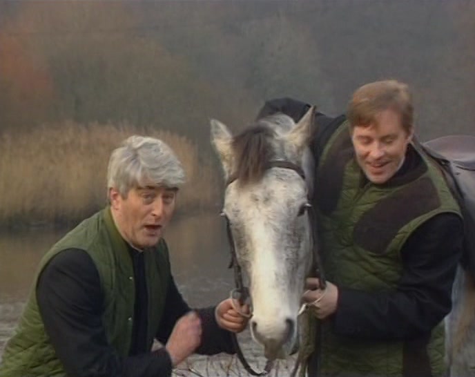 # AND BRING YOU TO THE HORSE DENTIST  