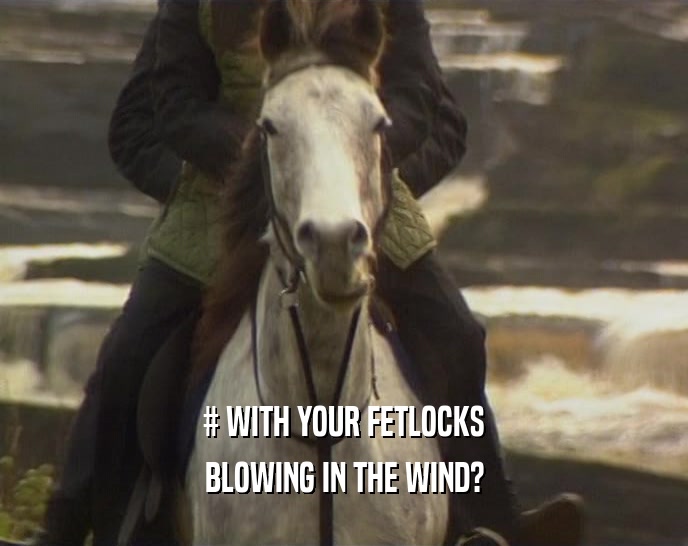 # WITH YOUR FETLOCKS BLOWING IN THE WIND? 