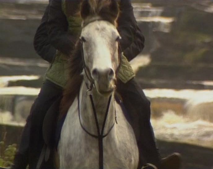 # WITH YOUR FETLOCKS BLOWING IN THE WIND? 