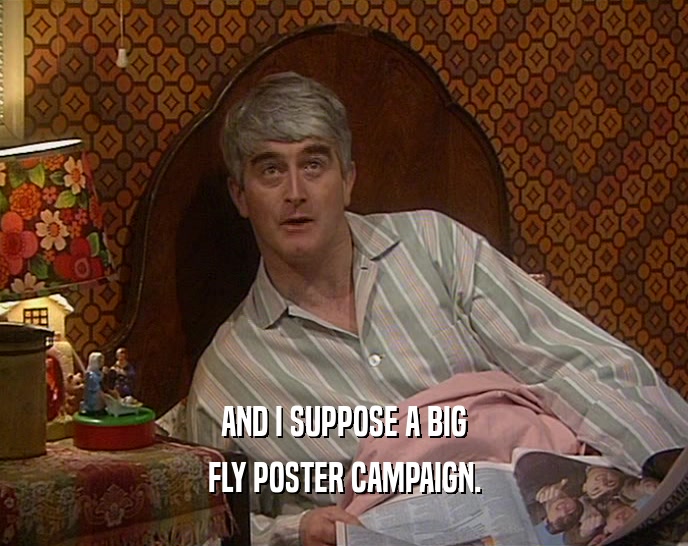 AND I SUPPOSE A BIG FLY POSTER CAMPAIGN. 