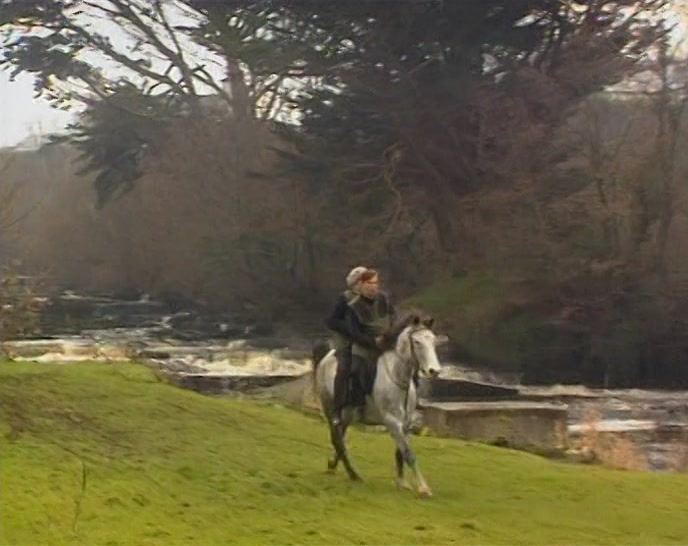 # RUNNING THROUGH THE FIELD  