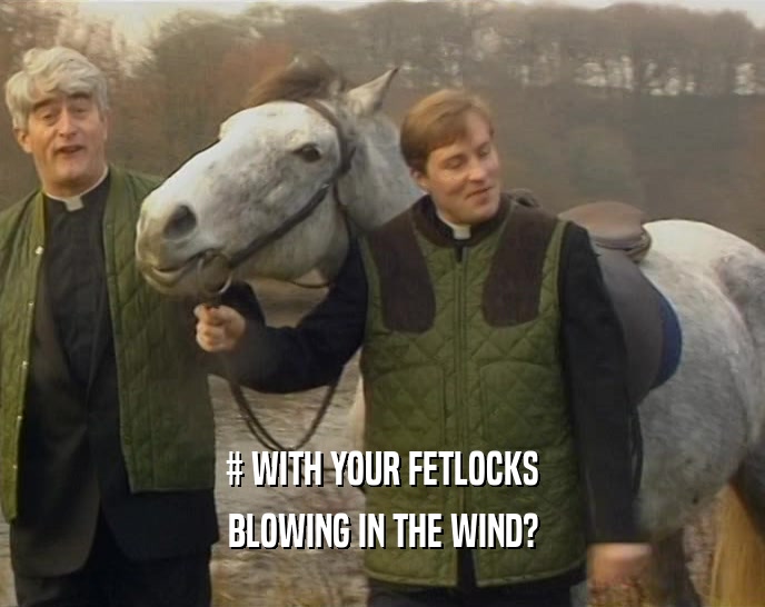 # WITH YOUR FETLOCKS BLOWING IN THE WIND? 