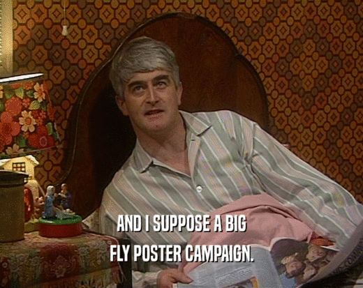 AND I SUPPOSE A BIG
 FLY POSTER CAMPAIGN.
 