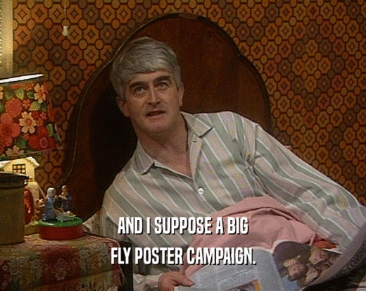 AND I SUPPOSE A BIG FLY POSTER CAMPAIGN. 