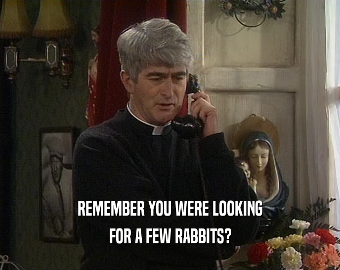 REMEMBER YOU WERE LOOKING FOR A FEW RABBITS? 