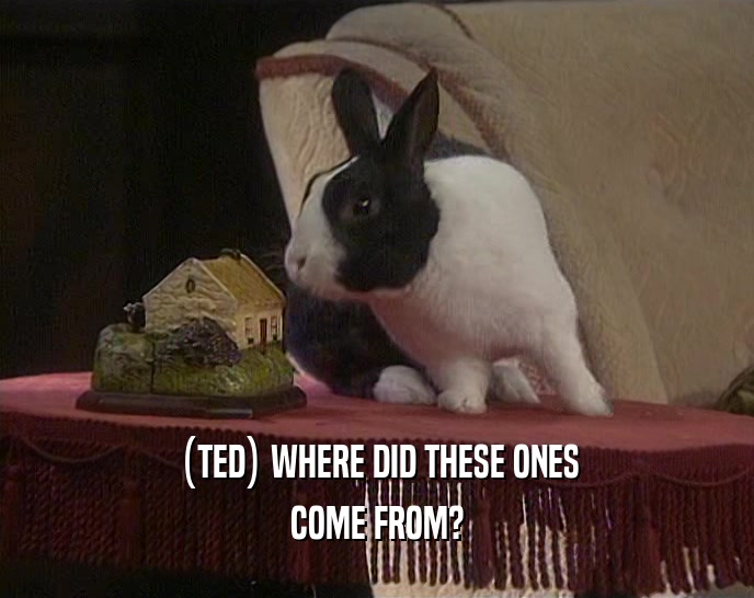 (TED) WHERE DID THESE ONES COME FROM? 