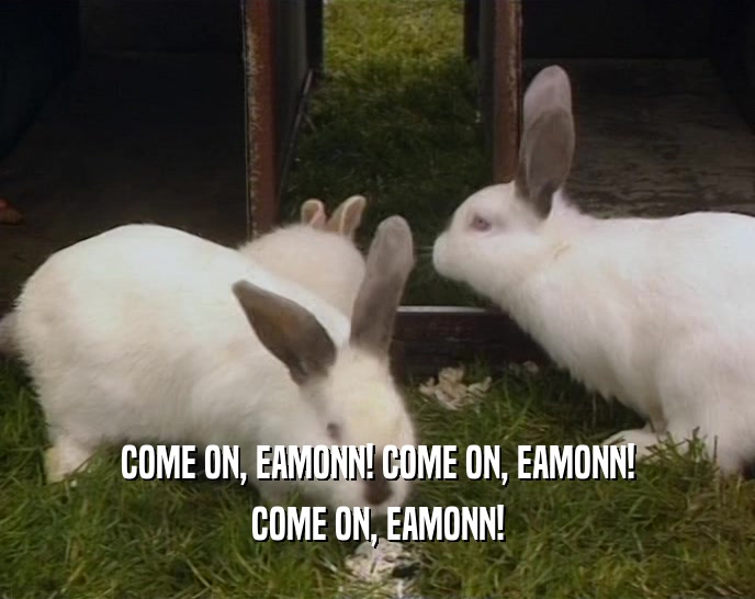 COME ON, EAMONN! COME ON, EAMONN! COME ON, EAMONN! 