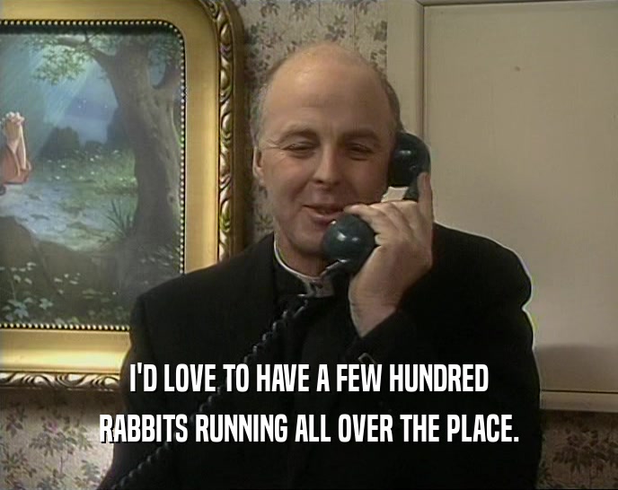I'D LOVE TO HAVE A FEW HUNDRED RABBITS RUNNING ALL OVER THE PLACE. 